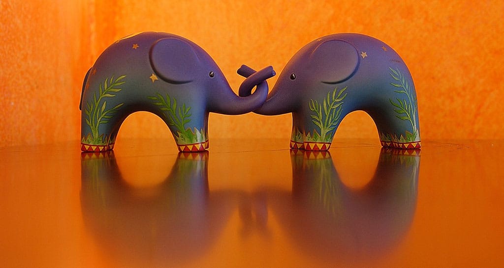 Gesten der Liebe - Elefantenliebe