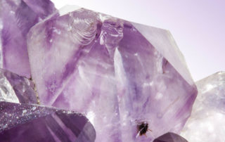 Der Amethyst