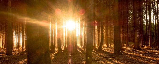 Imbolc Lichtmess
