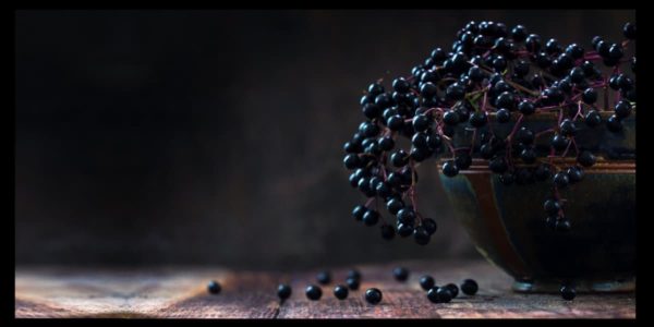 Holunderbeeren