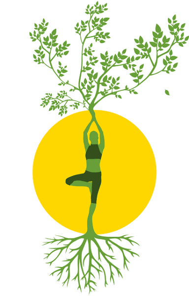 Asana-Baum-Wurzeln Asana - Der Baum