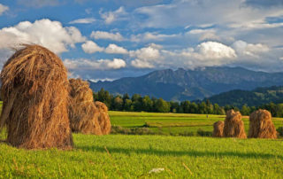 Lughnasadh