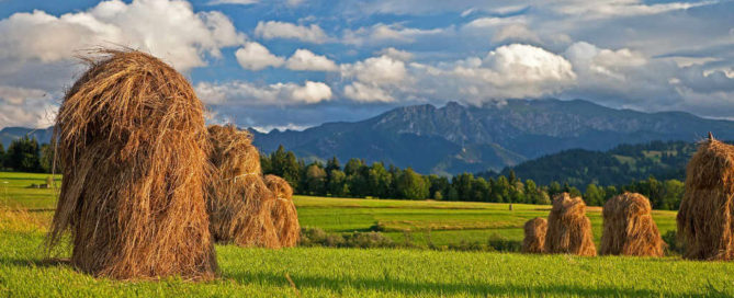 Lughnasadh