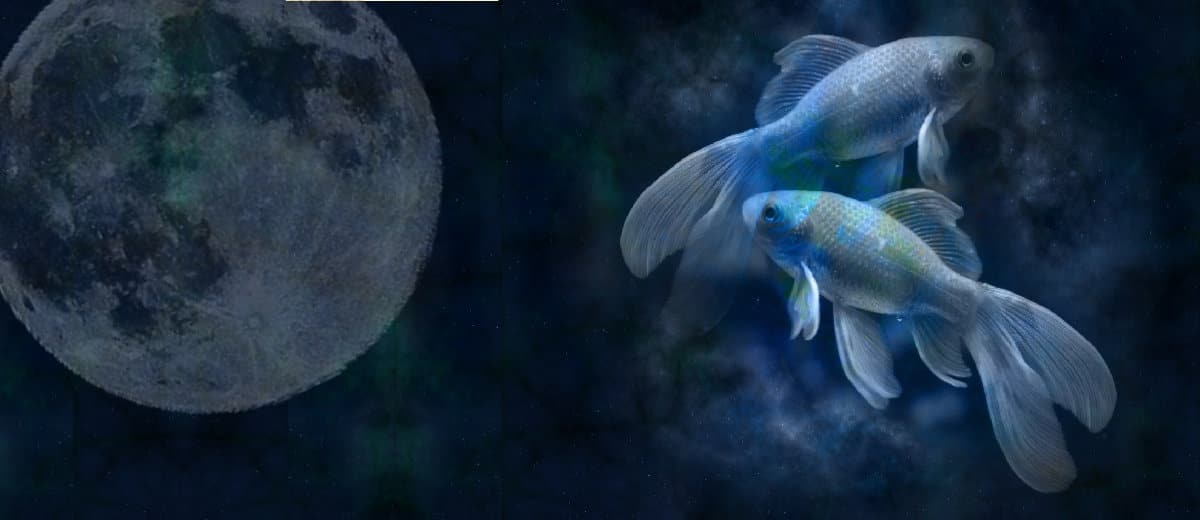 Vollmond in Fische