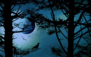 Vollmond Januar Löwe Mondfinsternis