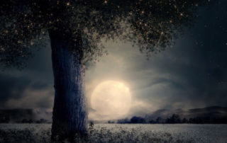 Vollmond in Steinbock Juni 2018