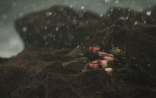 Neumond Waage Oktober 2018