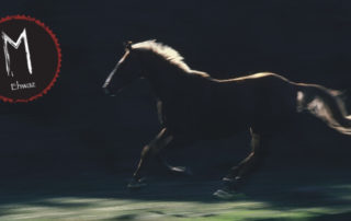 Ehwaz Rune Pferd