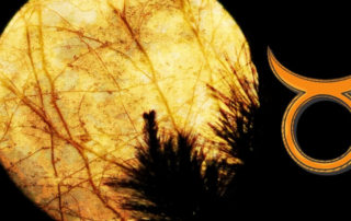 Vollmondritual Stier