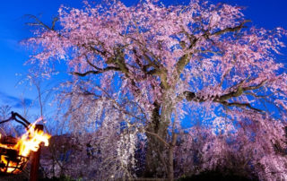 Neumond 23. April 2020