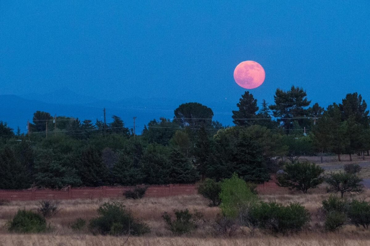 Vollmond im Wassermann - 03. August 2020