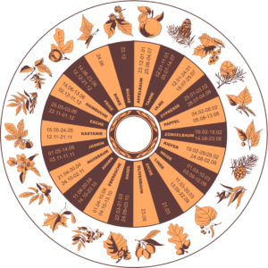 Keltisches Baumhoroskop