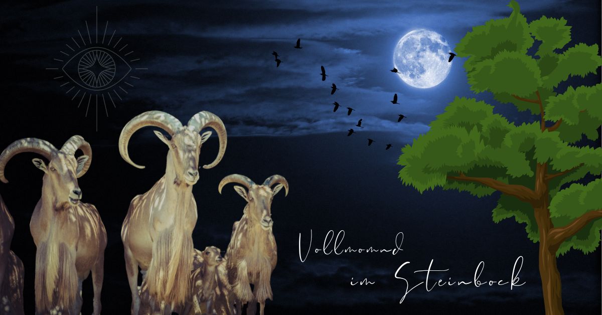 Vollmond Steinbock 13 Juli 2022