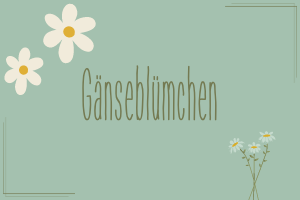 Gänseblümchen