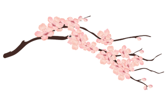 Barbarazweig Barbarazweig im Winter